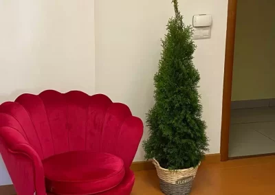 Psicoavanz os Desea Felices Fiestas y Próspero 2022